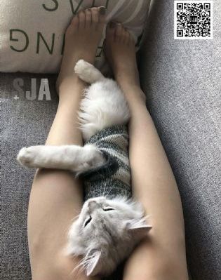 国产女黄a片aaa毛片1_BD国语超清免费观看