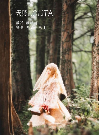 欧美精品大片一区二区_1080P电影完整版在线观看